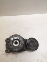 Mercedes-Benz E W211 Napinacz paska wielorowkowego / Alternatora A6422001370