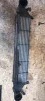 Mercedes-Benz C W203 Chłodnica powietrza doładowującego / Intercooler A2035000400