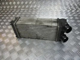 Peugeot 307 Radiatore intercooler 