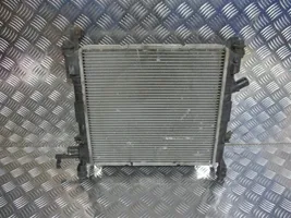 Ford Streetka Radiateur de refroidissement 