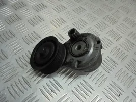 Chevrolet Captiva Poulie renvoi/transmission, courroie 25182787