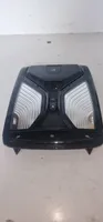 BMW X3 G01 Front seat light 9493162