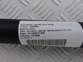 BMW X3M F97 Ammortizzatore portellone posteriore/bagagliaio 7397322