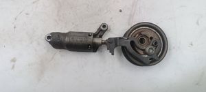 Audi A4 S4 B5 8D Timing belt/chain tensioner 050109479T