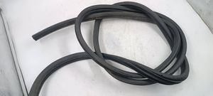 Renault Scenic I Front door rubber seal 02807407