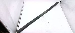 Audi A4 S4 B5 8D Rivestimento della portiera anteriore (modanatura) 