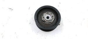 Volkswagen PASSAT B5 Napinacz paska alternatora 979286