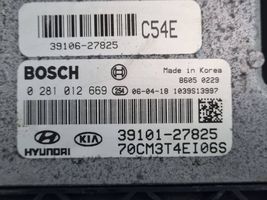 Hyundai Santa Fe Sterownik / Moduł ECU 3910127825