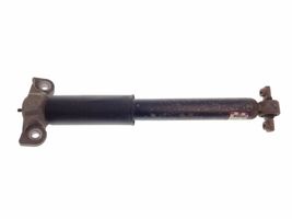 Ford Edge II Rear shock absorber/damper F2GC18W002