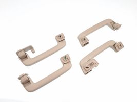 Ford Edge II Un set di maniglie per il soffitto DS73A045B14A