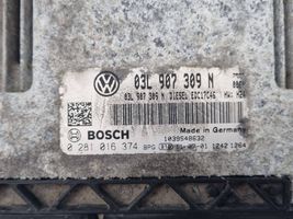 Volkswagen PASSAT B7 Centralina/modulo del motore 03L907309N