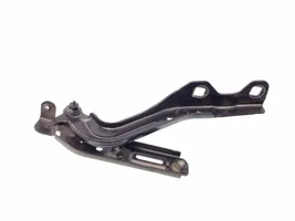 Chrysler Pacifica Engine bonnet/hood hinges VL054