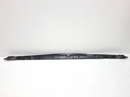 Chrysler Pacifica Windshield trim 68228473AB