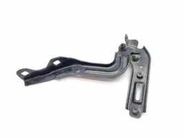 Chrysler Pacifica Engine bonnet/hood hinges 6G201V