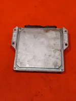 Opel Signum Sterownik / Moduł ECU 8973192743