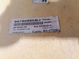 Citroen C4 II Picasso Lubos 96780580BJ