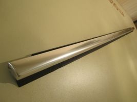 Volkswagen PASSAT CC Rivestimento modanatura del vetro della portiera posteriore 3C8839476F