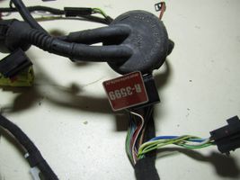 Audi A6 S6 C6 4F Cableado de puerta delantera 4F1971030G