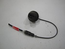 Skoda Octavia Mk2 (1Z) Antenne radio 