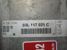 Volkswagen PASSAT B7 Variklio tepalo radiatorius 03L117021C