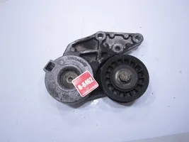 Volkswagen Bora Napinacz paska alternatora E6903A110410