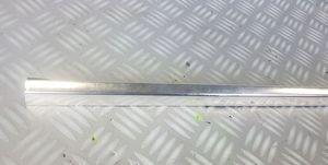 Jaguar XJ X351 Front door trim (molding) 