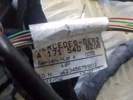 Mercedes-Benz SLK AMG R171 Faisceau de câblage pour moteur A1715406207