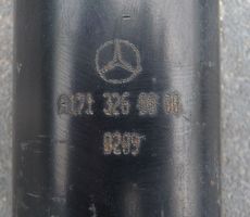 Mercedes-Benz SLK R171 Ammortizzatore posteriore A1713260000