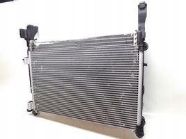 Renault Kangoo II Kit Radiateur 820041832