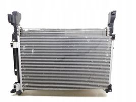 Renault Kangoo II Kit Radiateur 820041832