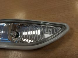 Mercedes-Benz A W169 Spiegelblinker 3038010