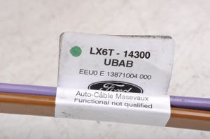 Ford Focus Autres faisceaux de câbles LX6T-14300-UBAB