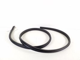 Ford Focus Rear door rubber seal (on body) BM51N25324AF