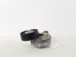 Volvo V60 Napinacz paska / łańcucha rozrządu 31330379