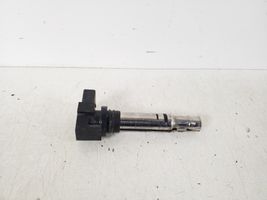 Volkswagen PASSAT B7 High voltage ignition coil 036905715G