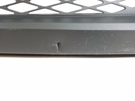 Toyota C-HR Front bumper lower grill 52129-F4010