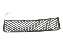 BMW 7 E65 E66 Grille inférieure de pare-chocs avant 51117135573