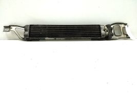 Mercedes-Benz A W169 Transmission/gearbox oil cooler A1695000200