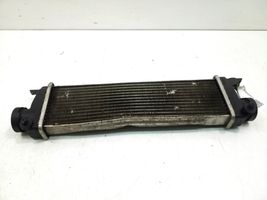 Mercedes-Benz Vaneo W414 Chłodnica powietrza doładowującego / Intercooler A1685000000