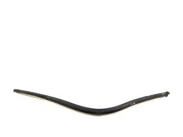 Mercedes-Benz CL C215 Front door rubber seal A2157250166