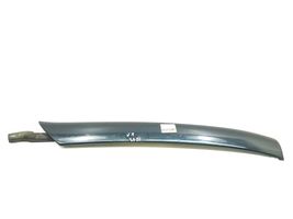 Mercedes-Benz CL C215 Rivestimento parabrezza A2156900787