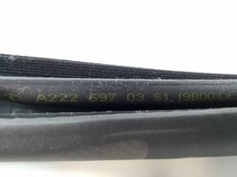 Mercedes-Benz S W222 Galinė sandarinimo guma (ant kėbulo) A2226970351