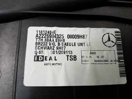 Mercedes-Benz S W222 Rivestimento montante (B) (fondo) A2226904325