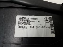 Mercedes-Benz S W222 Rivestimento montante (B) (fondo) A2226904425