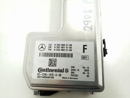 Mercedes-Benz S W222 Tuulilasin tuulilasikamera A2229003108