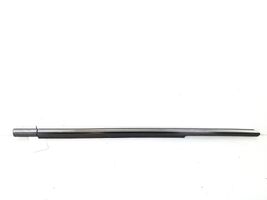 Mercedes-Benz S W220 Rear door trim (molding) A2206900480