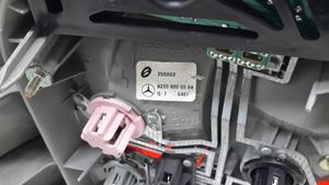 Mercedes-Benz S W220 Luci posteriori A2208200264