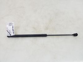 Mercedes-Benz A W169 Muelle amortiguador puerta trasera A1697400045