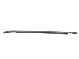 Mercedes-Benz A W169 Rivestimento portiera posteriore (modanatura) A1697350365