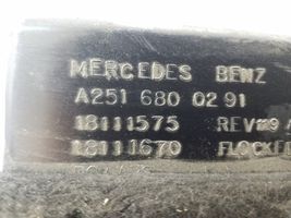 Mercedes-Benz R W251 Schowek deski rozdzielczej A2516800291